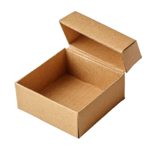 Caja de cartón pequeña (30x20x15 cm)